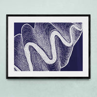 Giant Clam - Framed Print Wall Art 45.00 Beach House Art