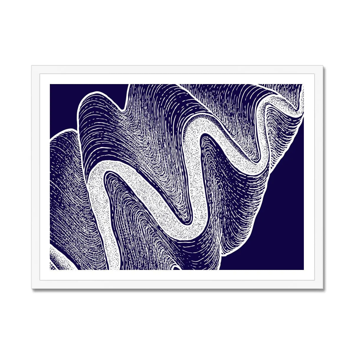 Giant Clam - Framed Print Wall Art 45.00 Beach House Art