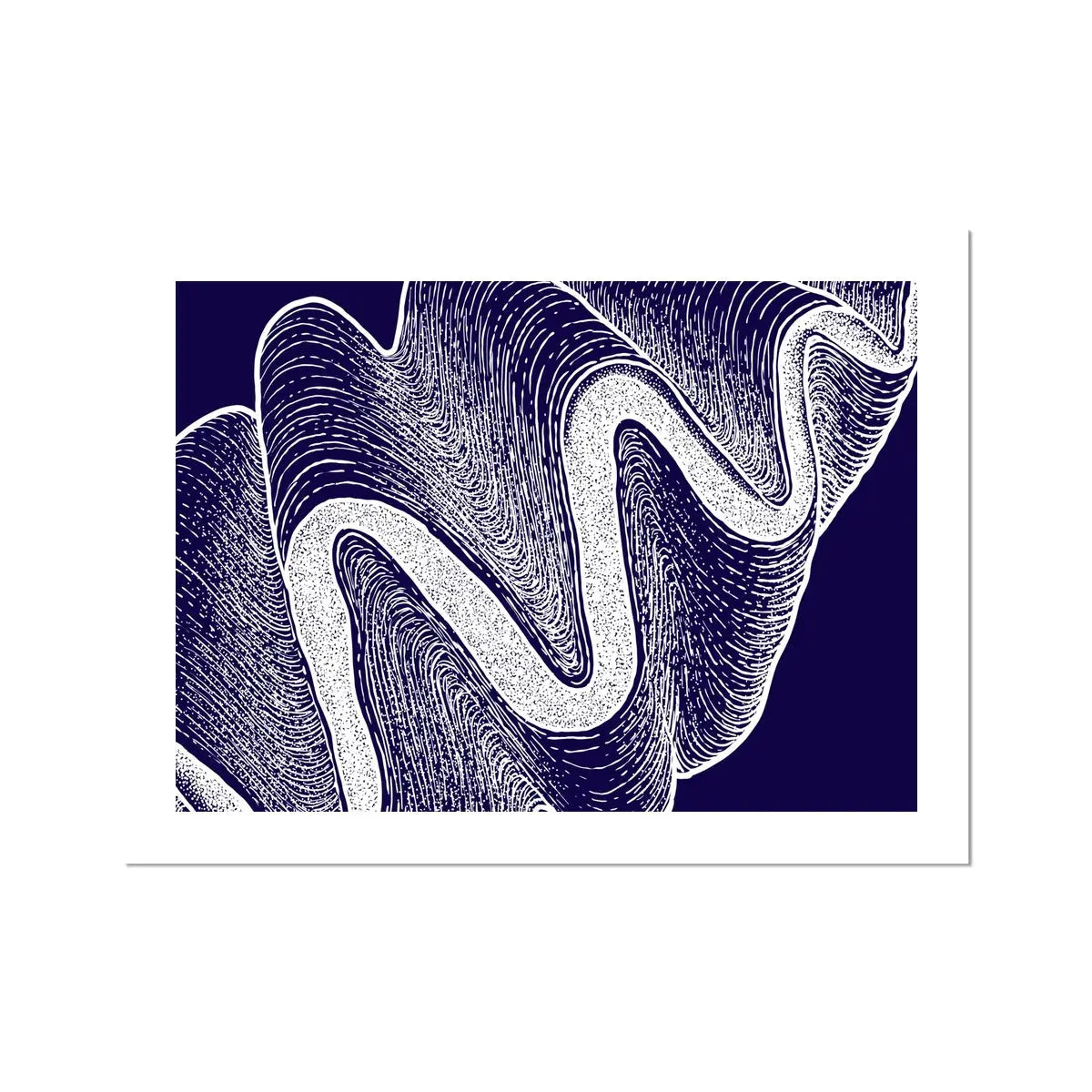 Giant Clam - Unframed Print Wall Art 18.00 Beach House Art