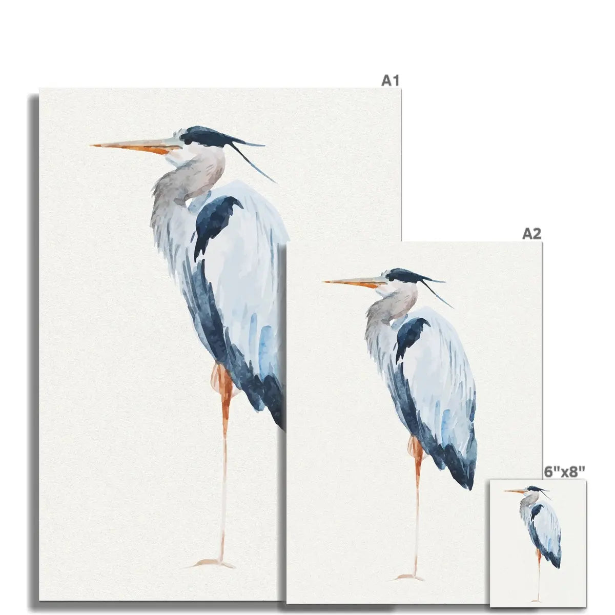 Heron Resting Print | Heron Painting - Vintage Bird Art - Unframed Wall Art 