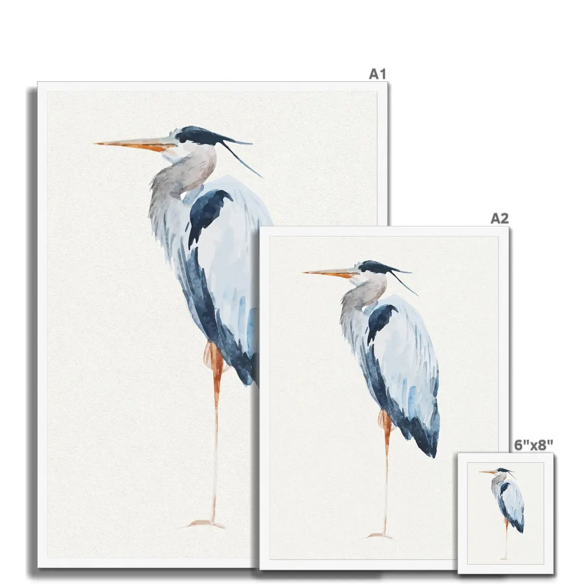 Heron Resting | Vintage Bird Art Print - Framed Heron Wall Art