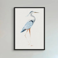 Heron Walking Print | Heron Painting - Vintage Bird Art - Framed Wall Art 