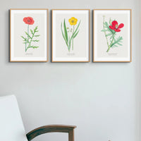 Horn Poppy Floral Painting | Vintage Flower Print | Botanical Art - Unframed Wall Art