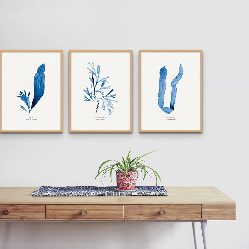 Indigo Seaweed Print Wall Art (Serrated Wrack) - Unframed - Beach House Art