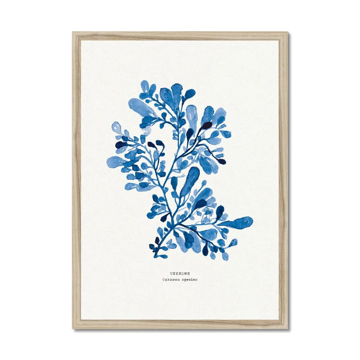 Beach-inspired wall art featuring a framed watercolour print of indigo seaweed wall art