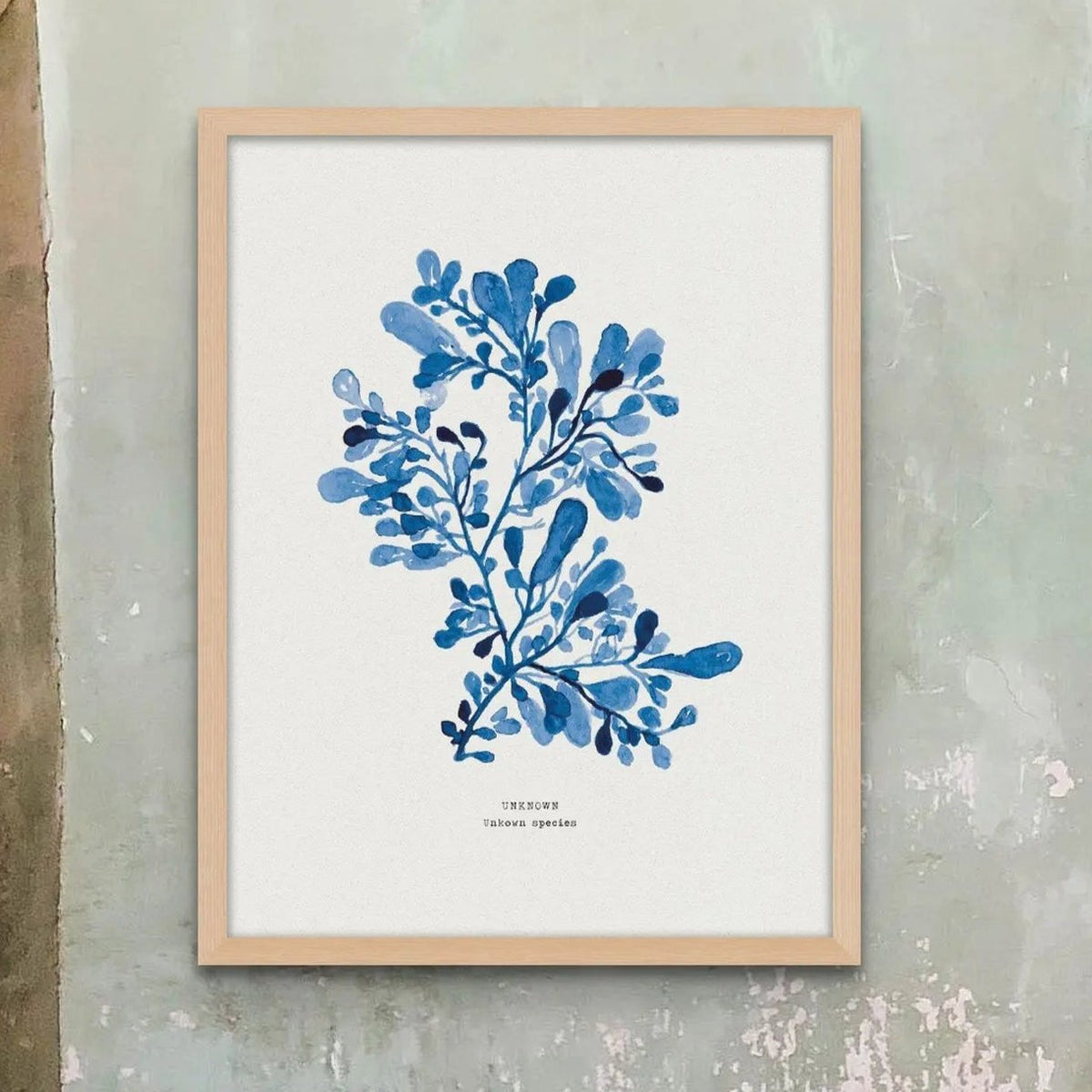 Indigo Seaweed Print Wall Art (Unknown species) - Unframed wall art