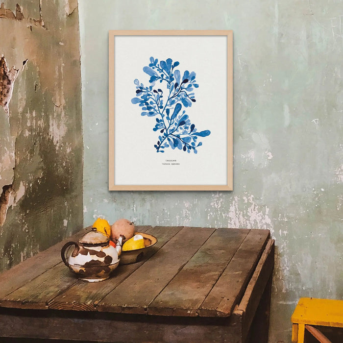 Indigo Seaweed Print Wall Art (Unknown species) - Unframed wall art