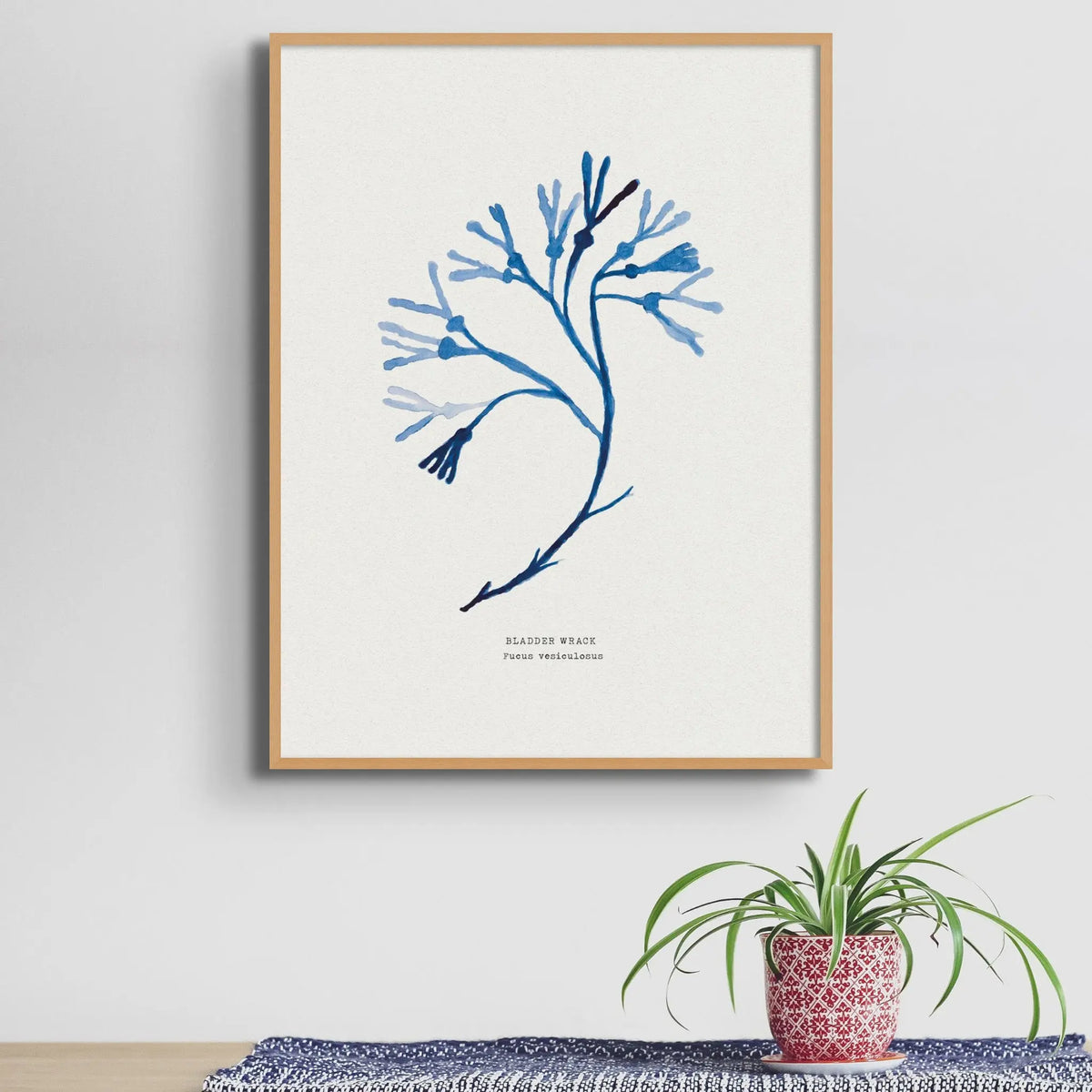 Indigo Seaweed Print Wall Art (Bladder Wrack) - Unframed - Beach House Art