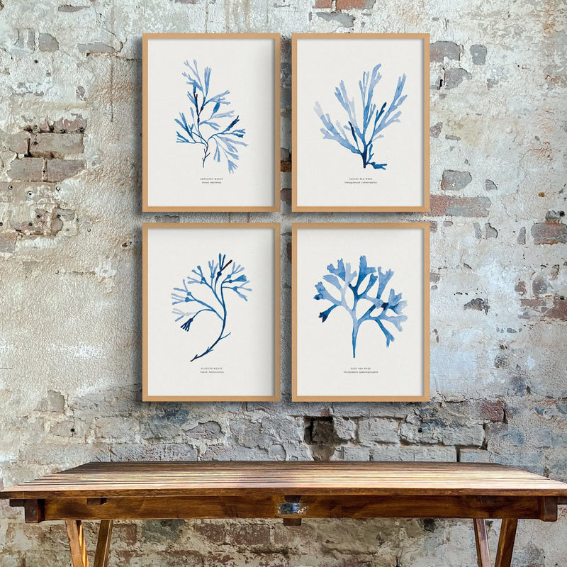 Indigo Seaweed Print Wall Art (Bladder Wrack) - Unframed - Beach House Art