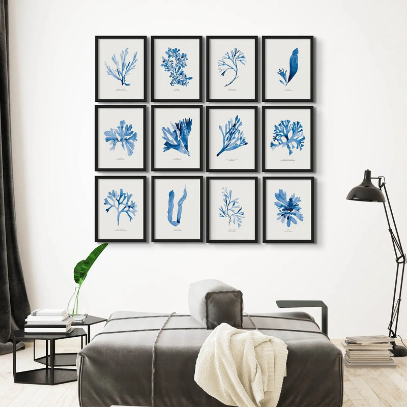 Indigo Seaweed Print Wall Art (Bladder Wrack) - Unframed - Beach House Art