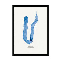 Indigo Seaweed Print Wall Art (Dabberlocks) - Framed - Beach House Art