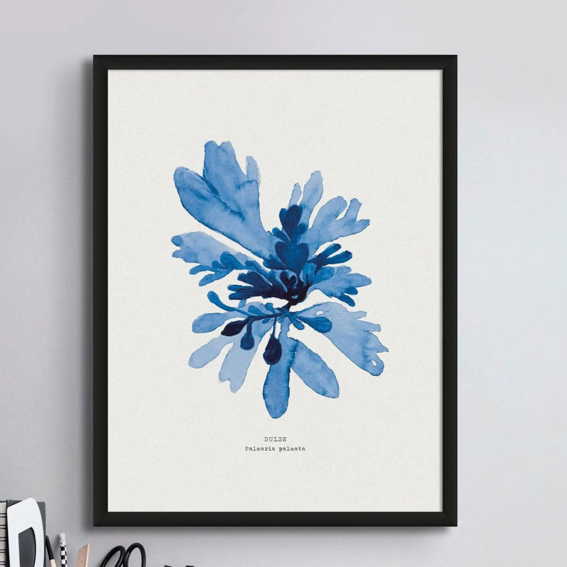 Indigo Seaweed Print Wall Art (Dulse No.1) - Unframed - Beach House Art