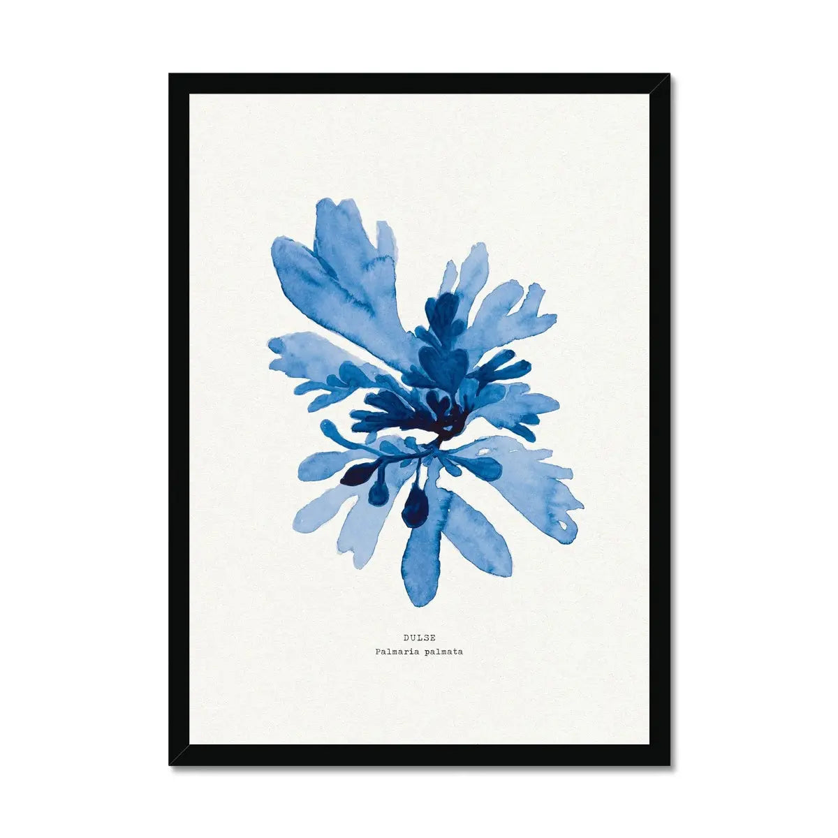 Indigo Seaweed Print Wall Art (Dulse No.1) - Framed - Beach House Art