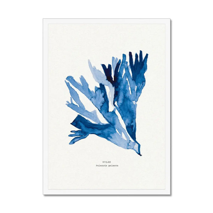 Indigo Seaweed Print Wall Art (Dulse No.2) - Framed - Beach House Art