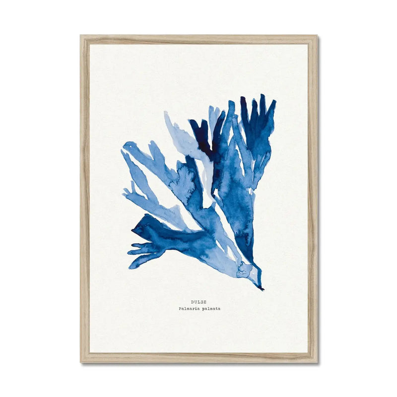 Indigo Seaweed Print Wall Art (Dulse No.2) - Framed - Beach House Art