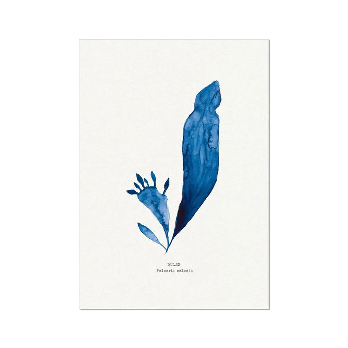 Indigo Seaweed Print Wall Art (Dulse No.3) - Unframed - Beach House Art