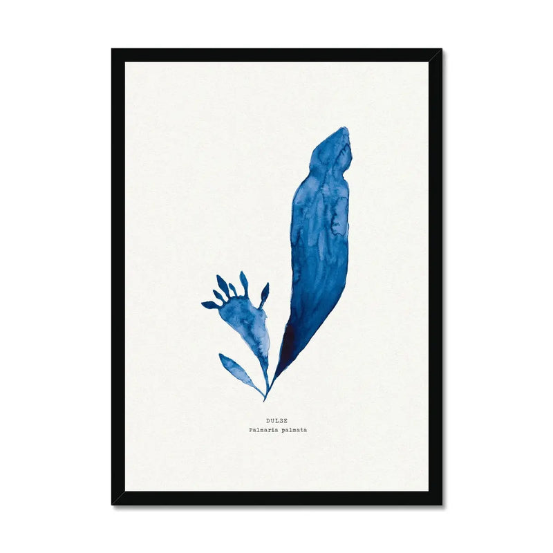 Indigo Seaweed Print Wall Art (Dulse No.3) - Framed - Beach House Art