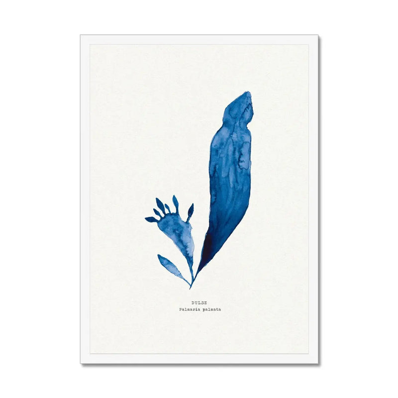 Indigo Seaweed Print Wall Art (Dulse No.3) - Framed - Beach House Art