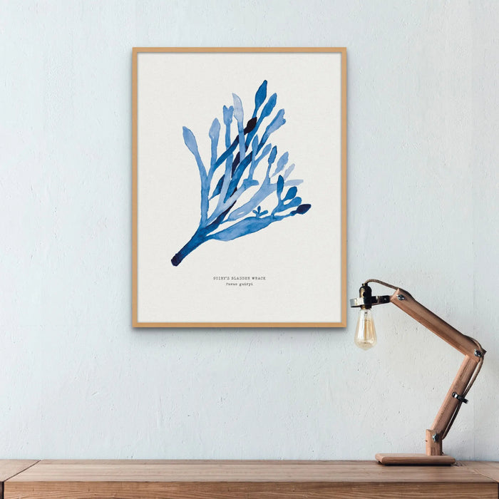 Indigo Seaweed Print Wall Art (Guiry's Bladder Wrack) - Unframed - Beach House Art