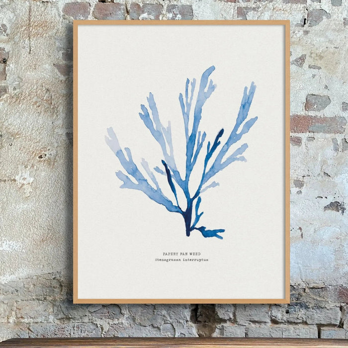 Indigo Seaweed Print Wall Art (Papery Fan Weed) - Unframed - Beach House Art