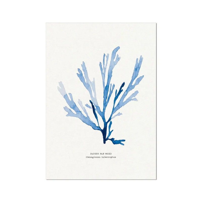 Indigo Seaweed Print Wall Art (Papery Fan Weed) - Unframed - Beach House Art