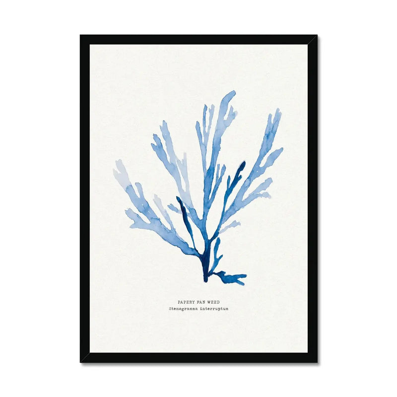 Indigo Seaweed Print Wall Art (Papery Fan Weed) - Framed - Beach House Art