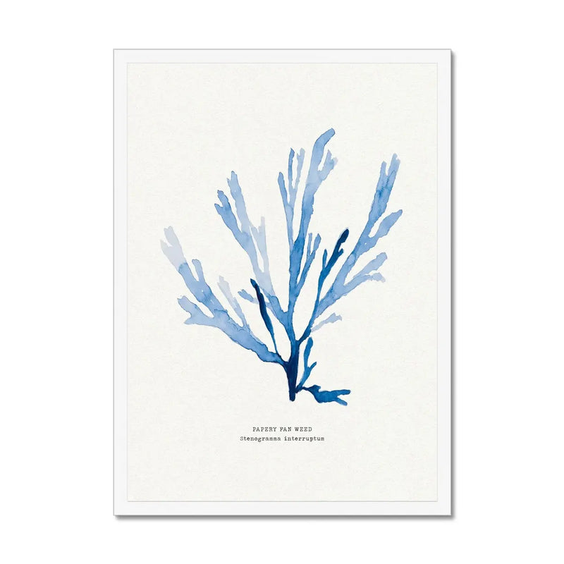 Indigo Seaweed Print Wall Art (Papery Fan Weed) - Framed - Beach House Art