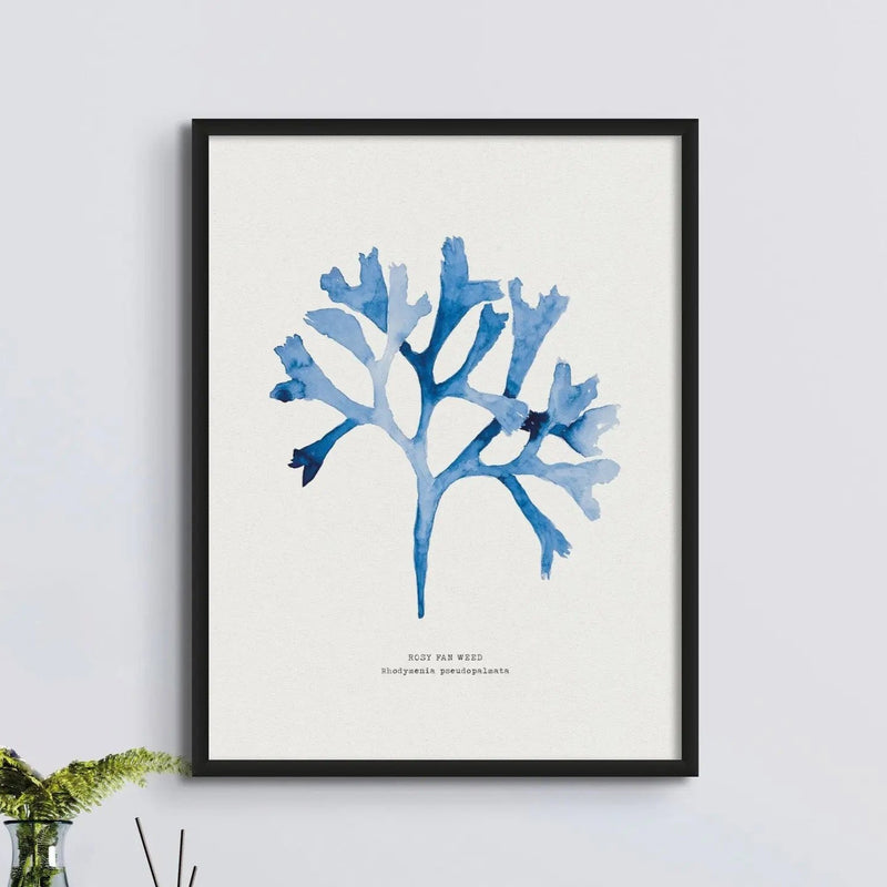 Indigo Seaweed Print Wall Art (Rosy Fan Weed) - Unframed - Beach House Art