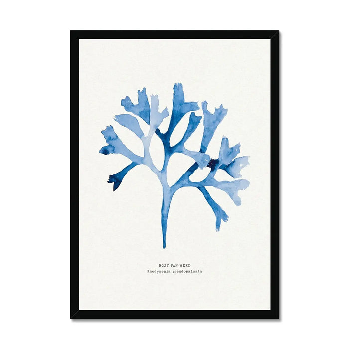 Indigo Seaweed Print Wall Art (Rosy Fan Weed) - Framed - Beach House Art