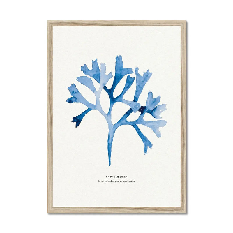 Indigo Seaweed Print Wall Art (Rosy Fan Weed) - Framed - Beach House Art