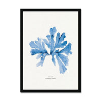 Indigo Seaweed Print Wall Art (Sea Oak) - Framed - Beach House Art