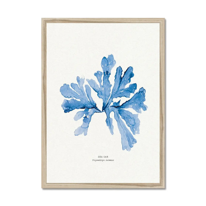 Indigo Seaweed Print Wall Art (Sea Oak) - Framed - Beach House Art