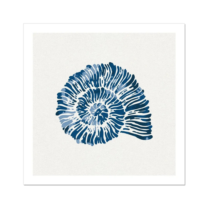 Indigo Spiral Shell Art Print | Watercolour Shell Print - Unframed Wall Art