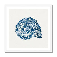 Indigo Spiral Shell Art Print, featuring stunning watercolour artwork. It's even framed and ready to display!