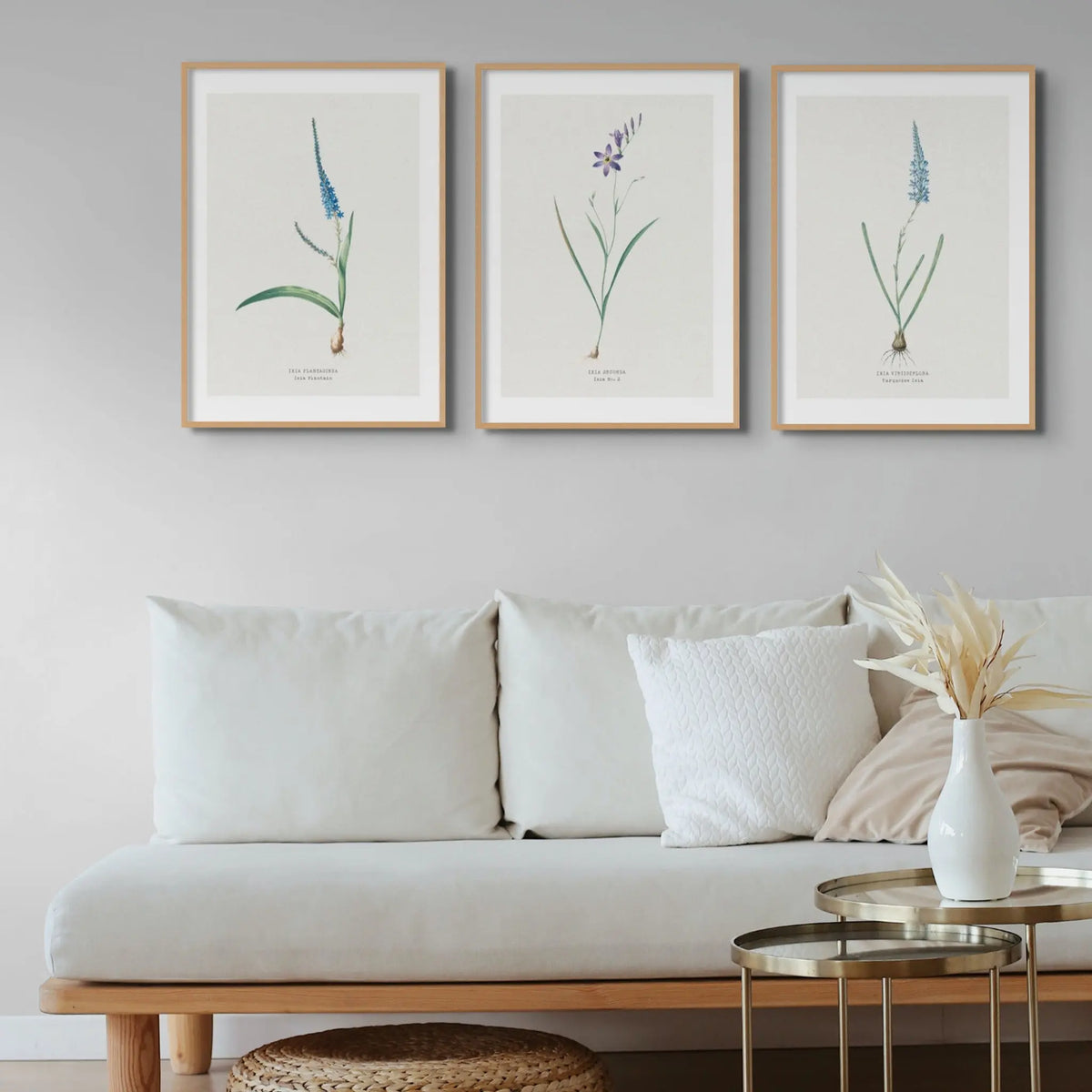 Ixia Plantain Flower Painting | Vintage Flower Print | Botanical Art - Unframed Wall Art