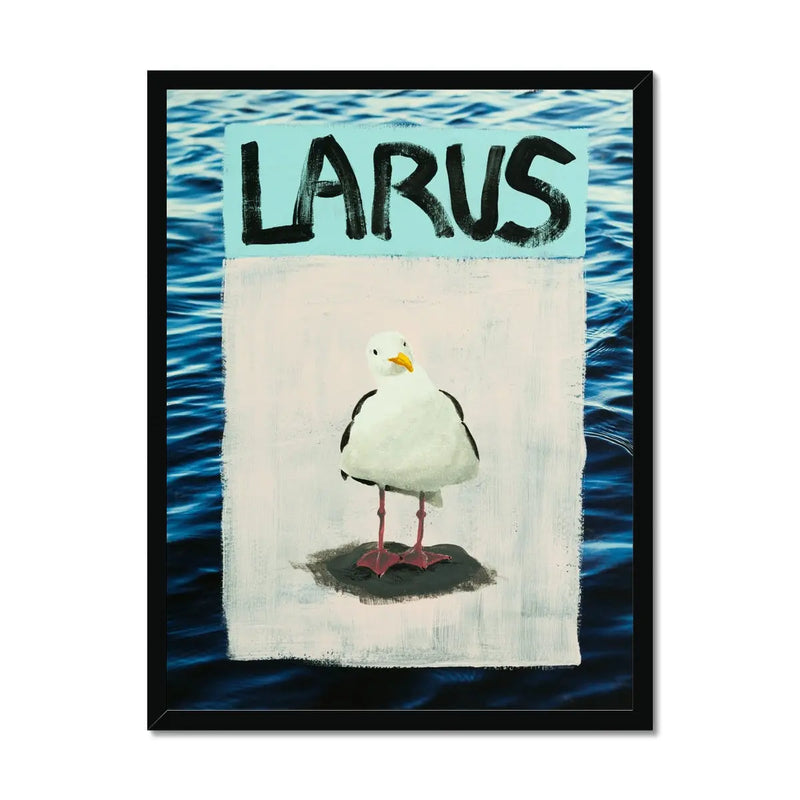 Larus Seagull (Sea-Bird Print) Modern Coastal Art - Framed - Beach House Art