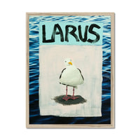 Larus Seagull (Sea-Bird Print) Modern Coastal Art - Framed - Beach House Art