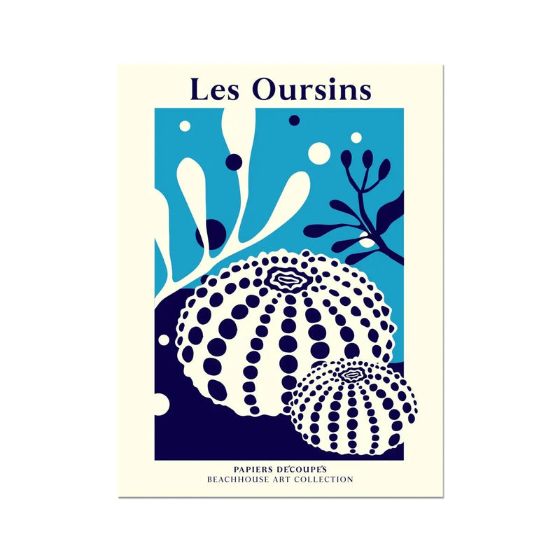 Les Oursins - Graphic Wall Art - Unframed - Beach House Art