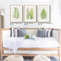 Lomaria Discolor Fern Print - Botanical Art Print in Green that comes with a frame.