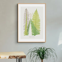 Lomaria Discolor | Fern Print Wall Art | Botanical Art Print - Unframed Print