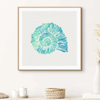 Opal Spiral Shell Art Print | Watercolour Shell Art - Unframed Wall Art