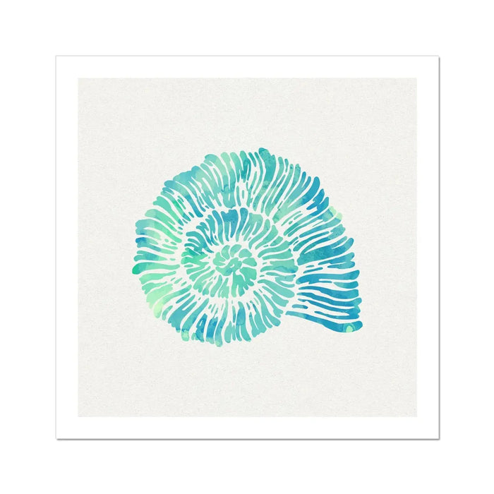 Opal Spiral Shell Art Print | Watercolour Shell Art - Unframed Wall Art