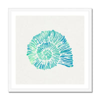 Opal Spiral Shell Art Print | Watercolour Shell Art Print - Framed Shell Wall Art