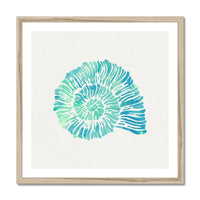 Opal Spiral Shell Art Print | Watercolour Shell Art Print - Framed Shell Wall Art