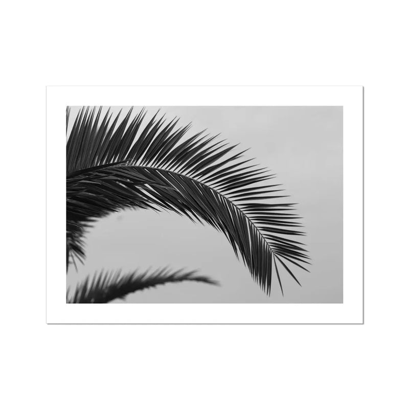 palm leaf wall art - black & white beach art photograph of a palm tree frond against a grey sky - beach house art