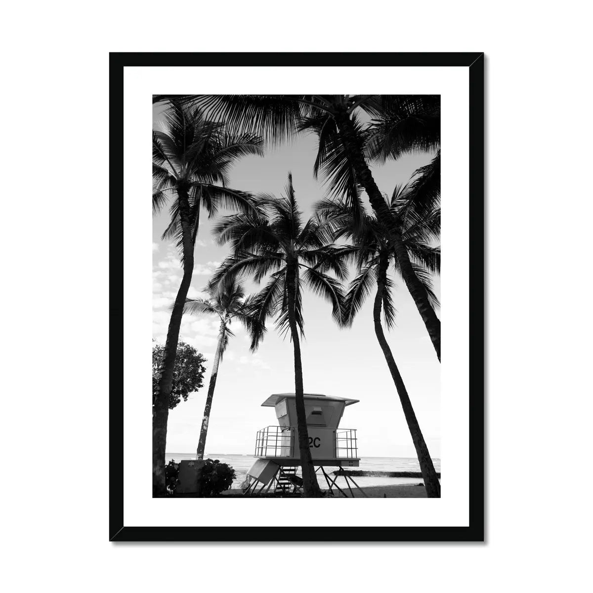 black & white beach art photograph of a life savers cabin in a palm tree grove - beach house art