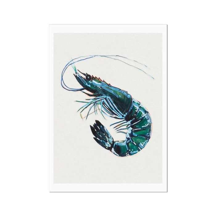 Prawn Painting Print | Watercolour Shellfish Art - Kitchen Wall Art Unframed