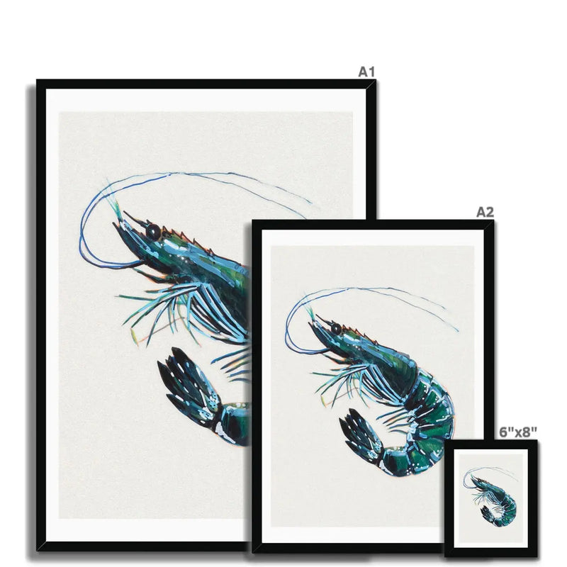 Prawn Painting Print | Watercolour Shellfish Art - Framed Wall Art