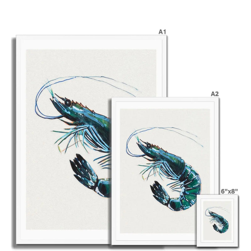 Prawn Painting Print | Watercolour Shellfish Art - Framed Wall Art