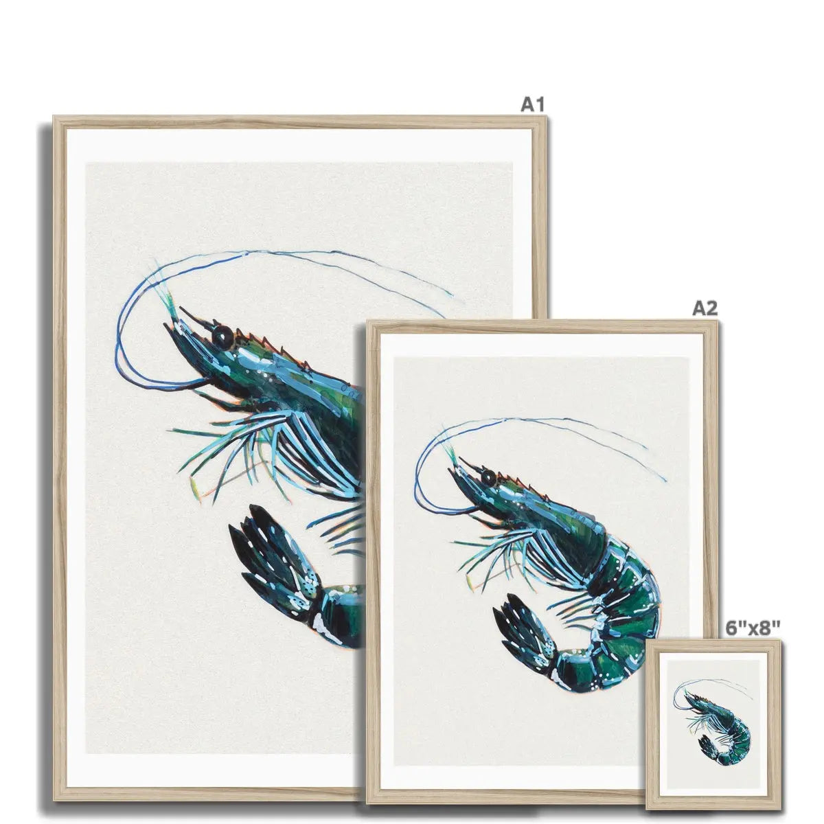 Prawn Painting Print | Watercolour Shellfish Art - Framed Wall Art